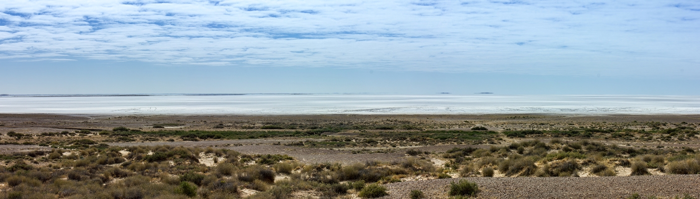 Lake Eyre (South)